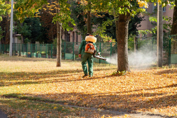 Pest Control for Restaurants in North Liberty, IA